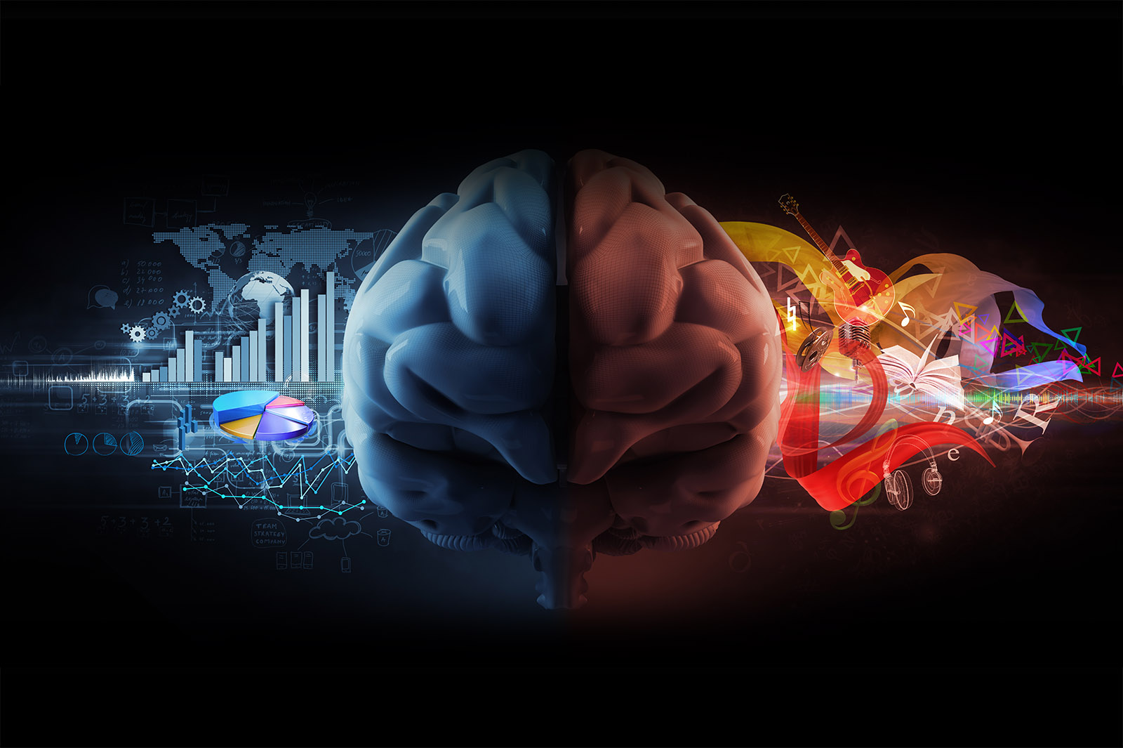 left and right brain functions